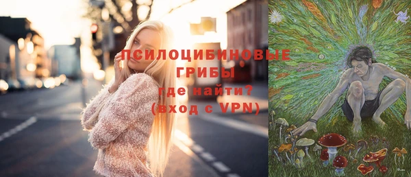 мяу мяу мука Лабытнанги