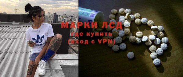стаф Ладушкин