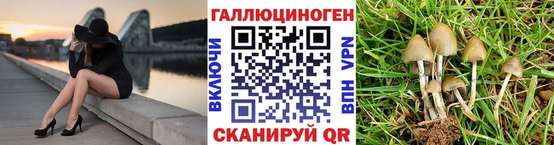 Галлюциногенные грибы прущие грибы  цены наркотик  MEGA tor  Лебедянь 